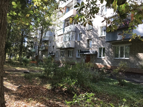 2х комнатная квартира 2х комнатная квартира