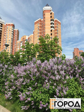 Москва, ул. Соловьиная Роща, д. 10. Продажа двухкомнатной квартиры. Москва, ул. Соловьиная Роща, д. 10. Продажа двухкомнатной квартиры.