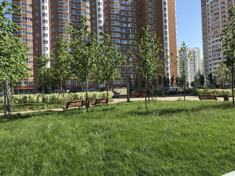Московский 2х комн квартира 57 кв м Московский 2х комн квартира 57 кв м