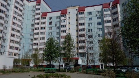 Митино Митино