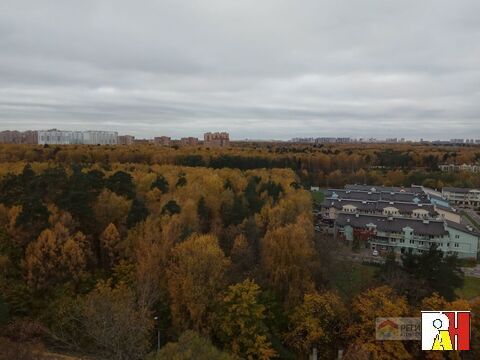 Продажа квартиры, Железнодорожный, Балашиха г. о, Брагина Продажа квартиры, Железнодорожный, Балашиха г. о, Брагина