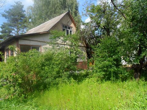 Дача в сосновом лесу 50 км от мкада Носовихинское ш. д. Евсеево. Дача в сосновом лесу 50 км от мкада Носовихинское ш. д. Евсеево.