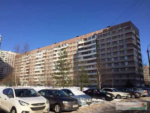 Продается квартира, Электросталь, 50.3м2 Продается квартира, Электросталь, 50.3м2