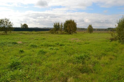 Участок 11 сот. в д. Высоково ИЖС Участок 11 сот. в д. Высоково ИЖС