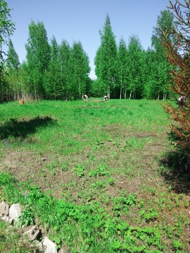 Участок в дачном поселке рядом с озером. 50 км от Москвы Участок в дачном поселке рядом с озером. 50 км от Москвы