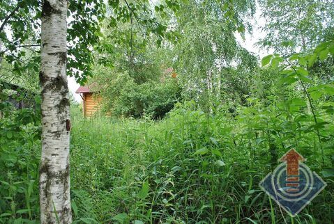 Участок в СНТ Вертолетчик у д. Шапкино и д. Порядино Участок в СНТ Вертолетчик у д. Шапкино и д. Порядино