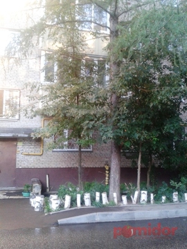 Продам 1 комнатную квартиру в центре города Солнечногорска Продам 1 комнатную квартиру в центре города Солнечногорска
