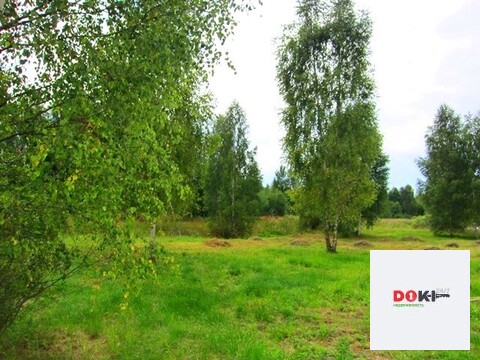 Продажа участка СНТ в пгт Рязановский Продажа участка СНТ в пгт Рязановский