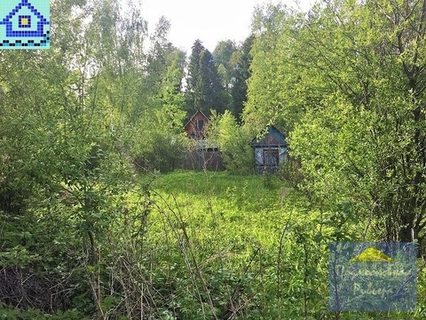 Недорогой участок в СНТ в окружении леса Недорогой участок в СНТ в окружении леса