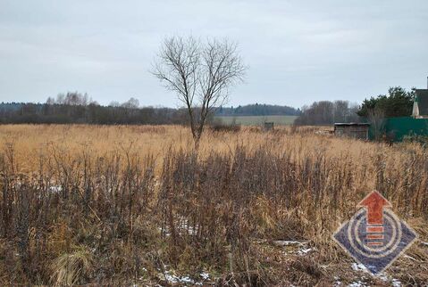 Продажа земельного участка 12 соток в д. Петровское Продажа земельного участка 12 соток в д. Петровское
