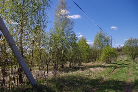 Д.Иневка Наро-Фоминского р-на. Продается участок 75 сот. ИЖС. Д.Иневка Наро-Фоминского р-на. Продается участок 75 сот. ИЖС.