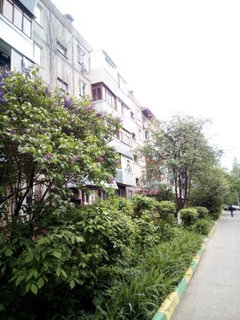Продаю квартиру на улице 43 Армии Продаю квартиру на улице 43 Армии