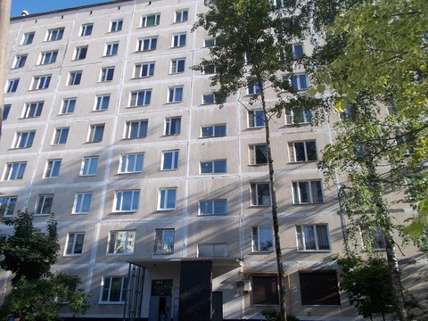Однокомнатная квартира в Андреевке Однокомнатная квартира в Андреевке