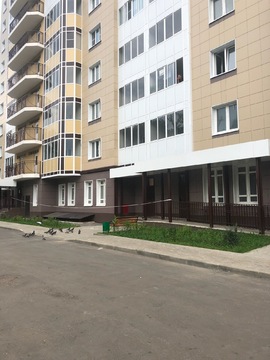 Помещение сводобного назначения в центре города Помещение сводобного назначения в центре города