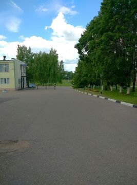 Квартира вместо дачи в живописном месте Подмосковья Квартира вместо дачи в живописном месте Подмосковья