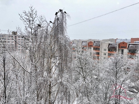 Продается 2-ка ул. Попова д.14 Продается 2-ка ул. Попова д.14
