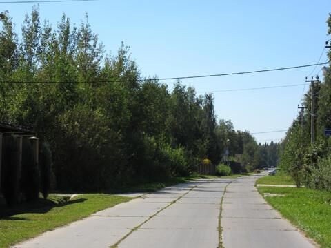Роскошный лесной участок 12 соток, Минское шоссе, "зелёная роща", охр. Роскошный лесной участок 12 соток, Минское шоссе, "зелёная роща", охр.