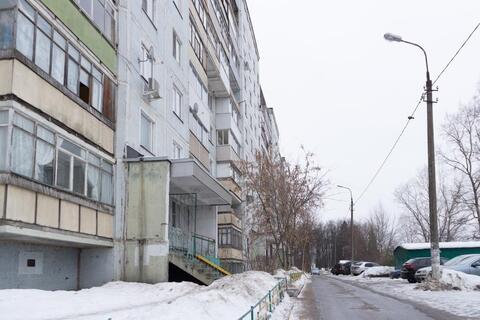 1 комнатная квартира 1 комнатная квартира