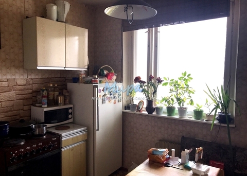 Отличное предложение! свободная продажа. Два взрослых собственника. Б Отличное предложение! свободная продажа. Два взрослых собственника. Б