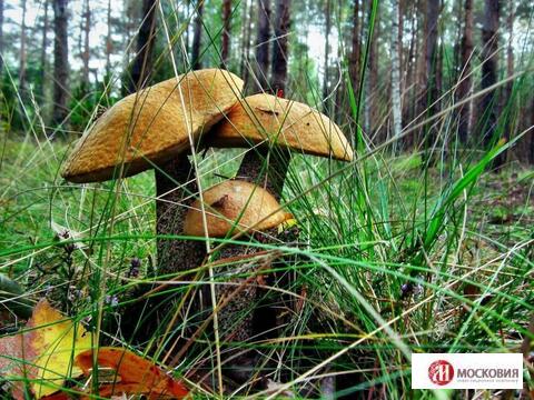 Лесной участок 15,37 сотки, ПМЖ, Новая Моква, 25 км. Калужское ш. Лесной участок 15,37 сотки, ПМЖ, Новая Моква, 25 км. Калужское ш.