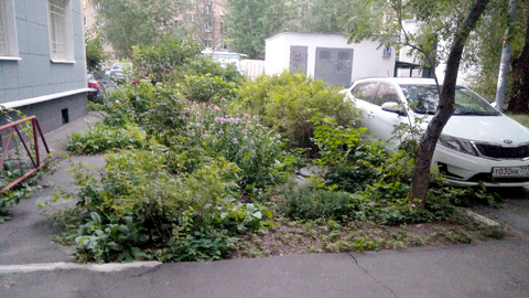 Сдам трёхкомнатную квартиру в районе Перово Сдам трёхкомнатную квартиру в районе Перово