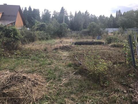 Участок в СНТ Литвиново Участок в СНТ Литвиново