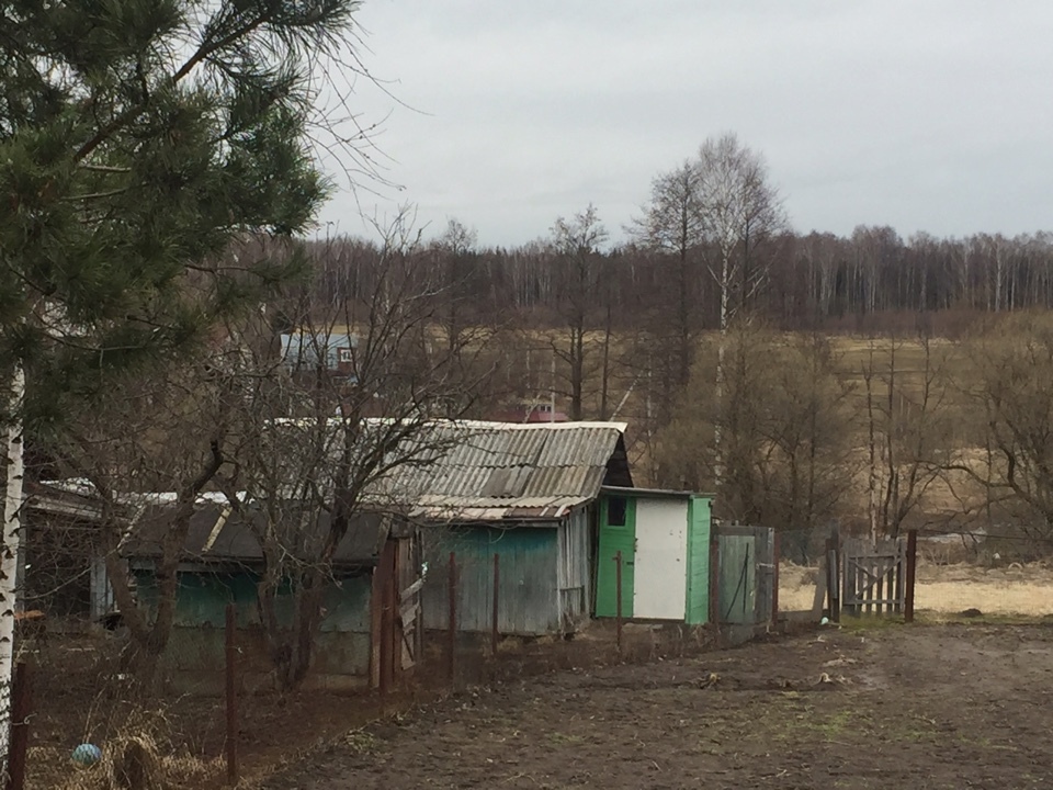 Ваулово чехов. Д Ваулово Чеховский район. Поселок Ваулово Чеховский район. Питомник в Ваулово Чеховский. Козлова Екатерина Ваулово Чеховский район.17 лет.