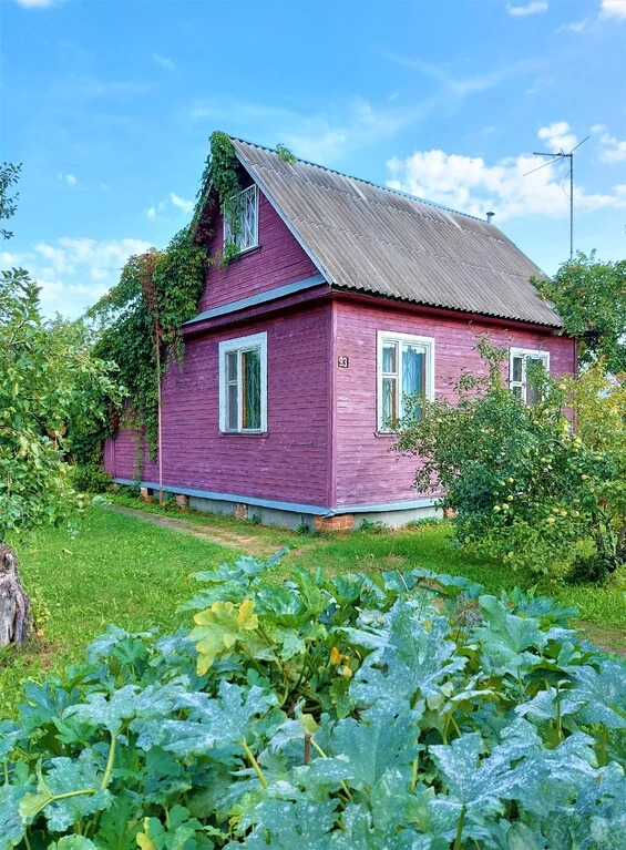 Купить Дачу В Раменском Районе Донино