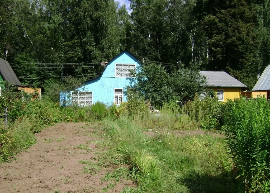 Снт Энтузиаст Ногинский Район Купить Дачу