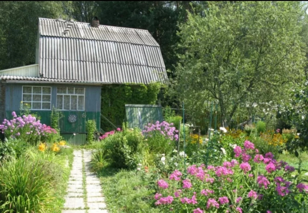 Дача снт волна. Дача снт волна. Снт сады вербилки. Снт волна гатчинский район. Дача снт волна.