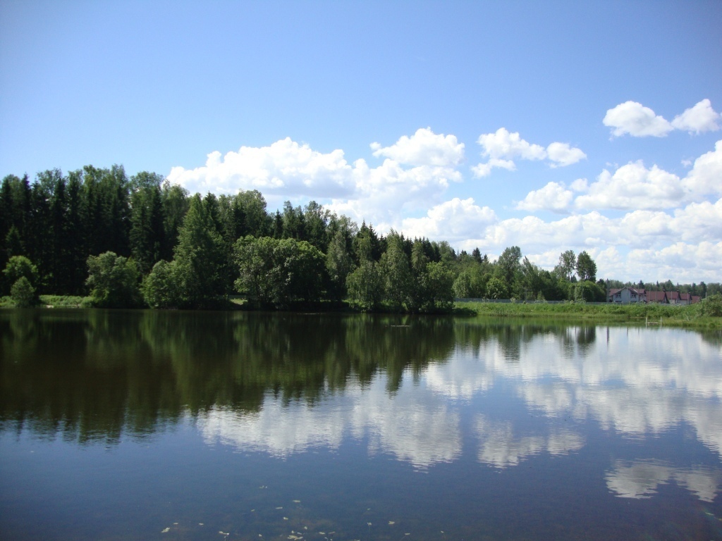 Подосинки дмитровского городского округа. Подосинки Московская область. Поселок Подосинки. Деревня Подосинки Дмитровский район.