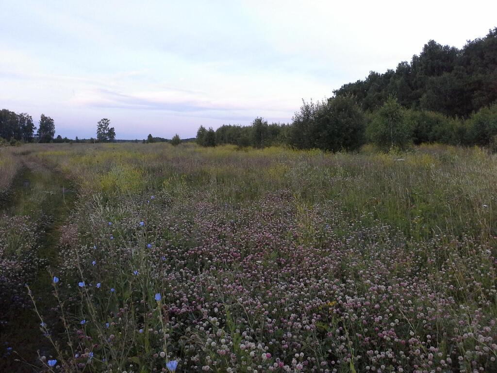 Участки 003. Дубачино Серпуховский. Дубачино. Деревня Агарино. Верхние вязенки в Серпуховском районе Подмосковья.