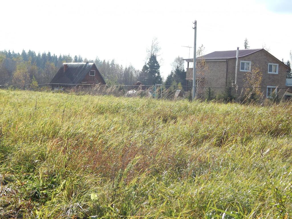 Погода в рузском подолы. Д Лобково Владимирская область.