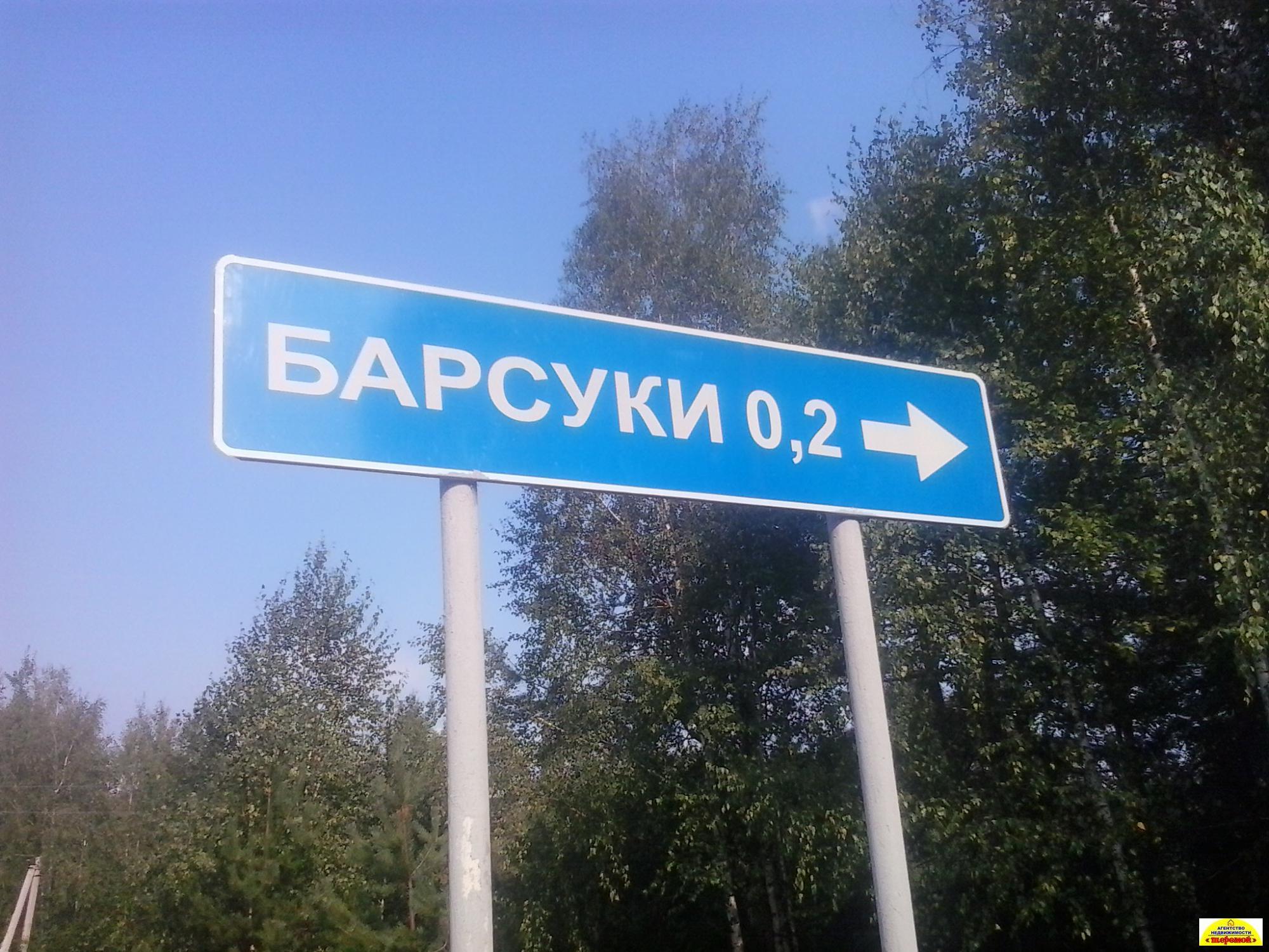 Поселок Барсуки Фото