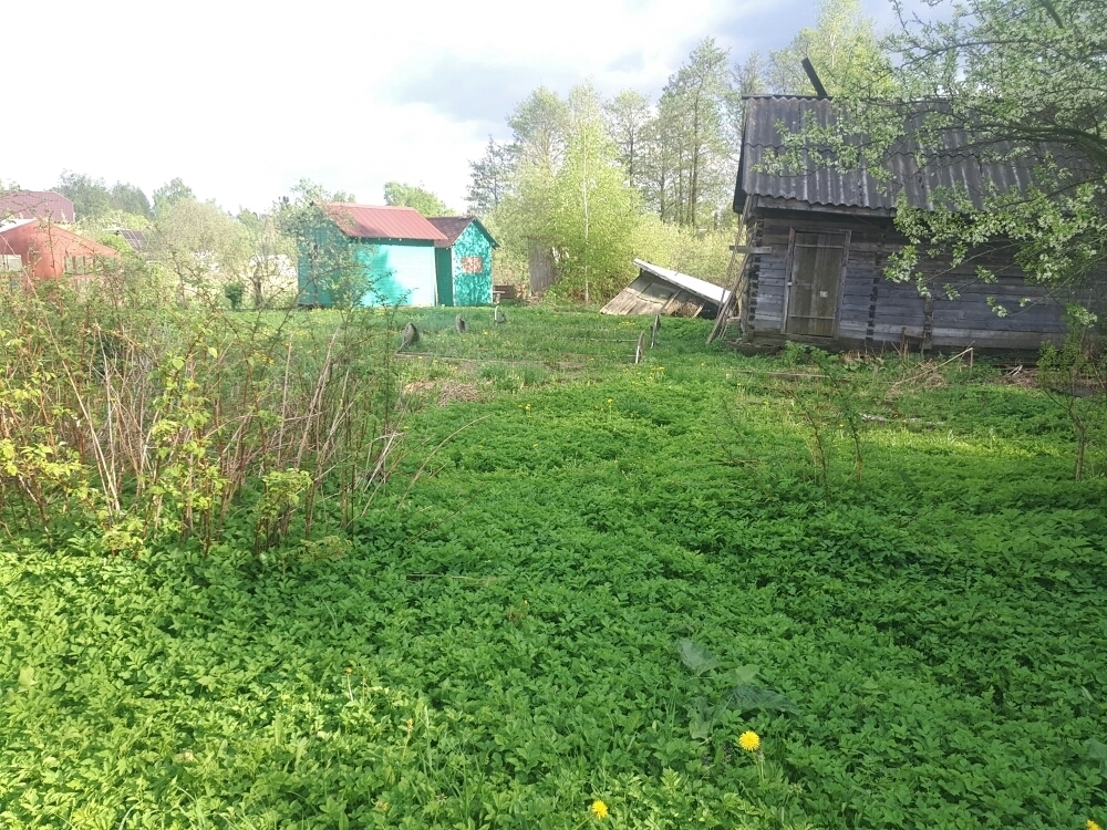 Погода покровское одинцовского. Гарь-Покровское Одинцовский район. Гарь Покровское Московская область. Гарь-Покровское Одинцовский район воинская часть 52946. Гарь-Покровское Одинцовский район карта.