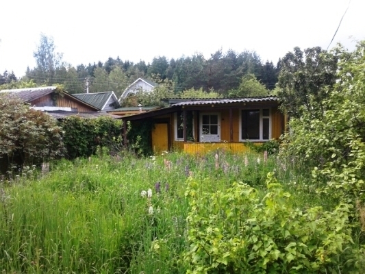 Снт поляна рузский. Снт поляна рузский. Снт минфин. Хотяжи снт поляна. Снт лесная поляна дмитровский округ.