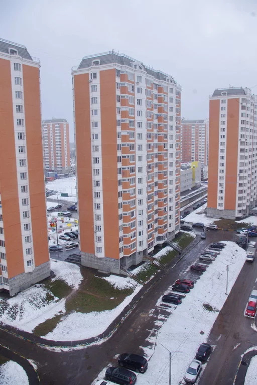 Брехово. Деревня Брехово Московская область. Д Брехово Солнечногорский район. Брехово школьный микрорайон. Брёхово Солнечногорский район мкр школьный.