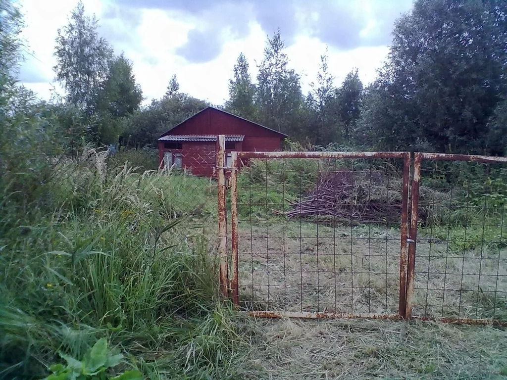 Погода в снт радио балашиха