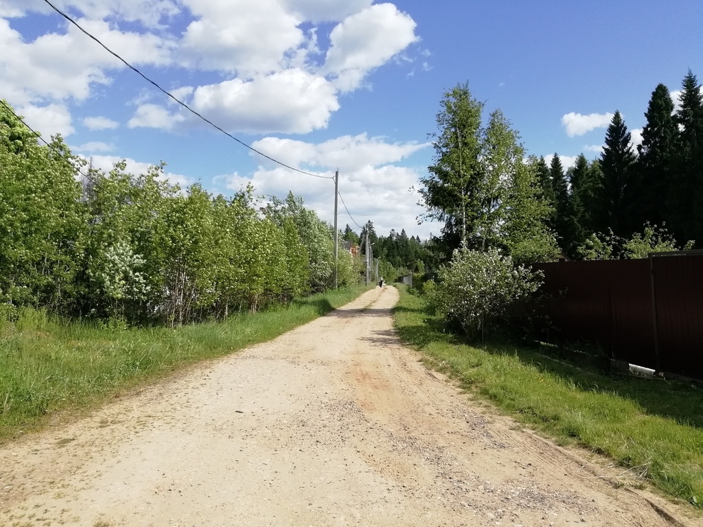 Земля заря. Софрино СНТ Сосновая роща. СНТ Заря Пушкинский район. Садовое товарищество Софрино. СНТ Заря 1.