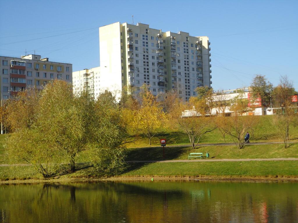 Пруды 3. Парк Ясеневские пруды. Три пруда в Ясенево. Москва ул Паустовского. Ул Паустовского 8к3.