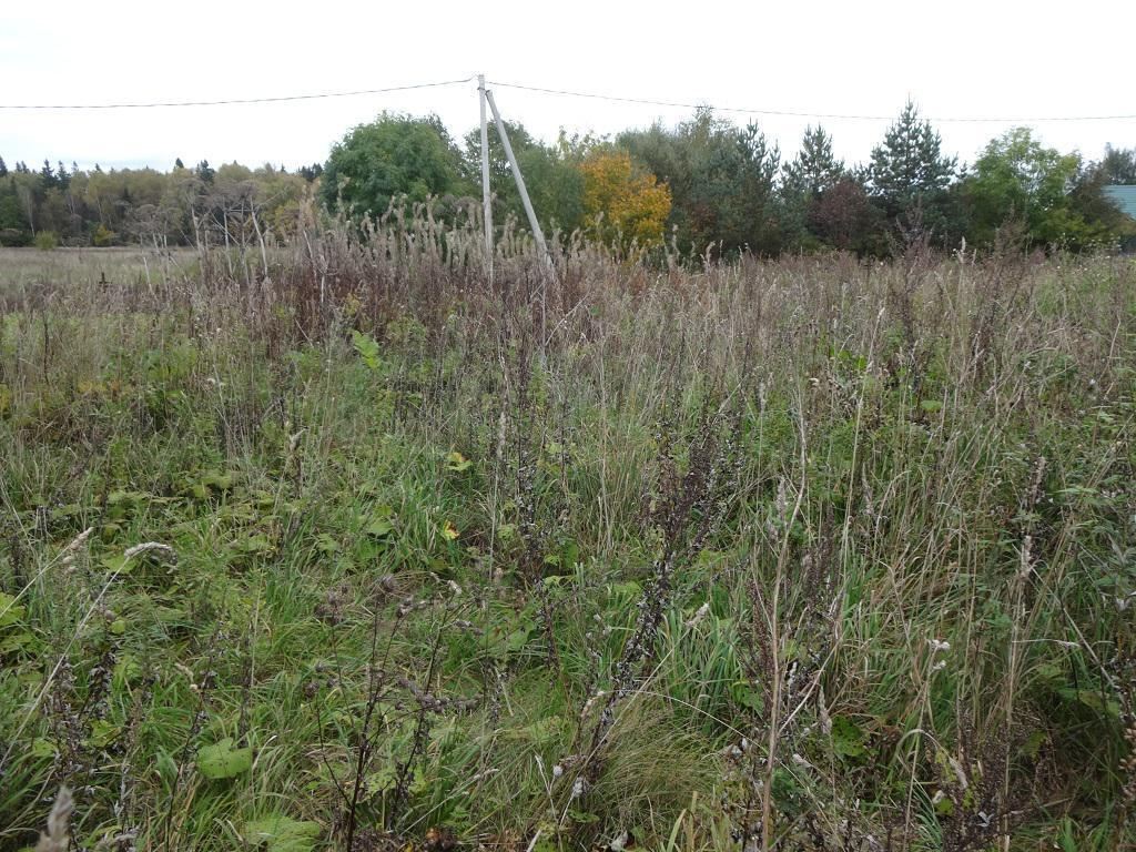 Рыбушки Истринский Район Участок Купить