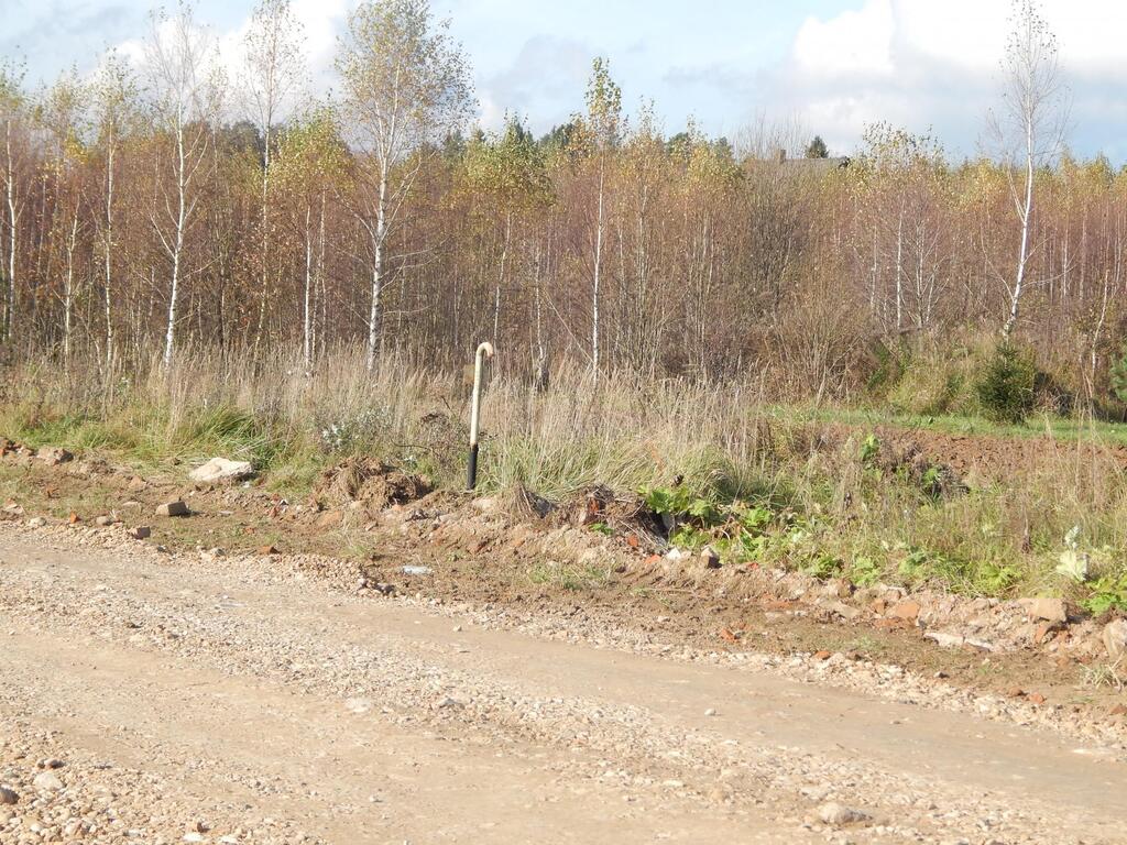 Погода в рузском подолы. Погода д.Лобково Рузский.