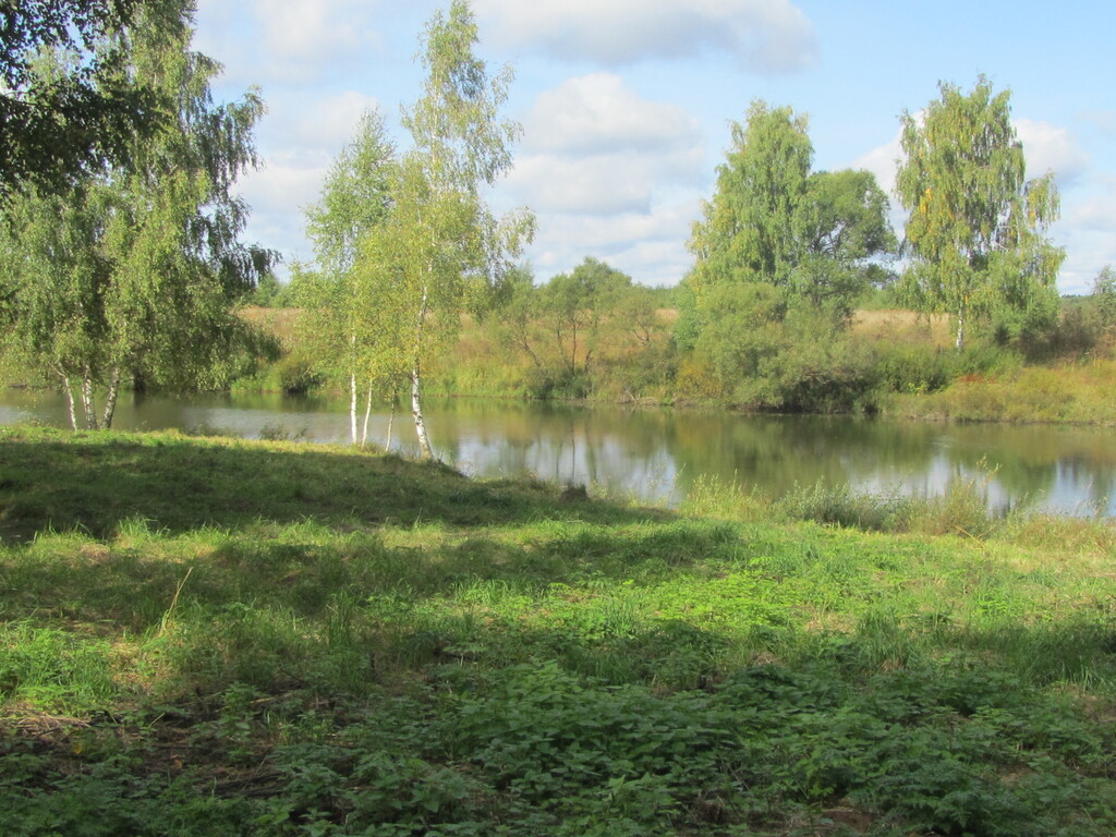 Участки рузское водохранилище. Деревня Токарево Волоколамский район. Токарево Рузское водохранилище. Деревня Токарево Рузский район. Волоколамск водохранилище.