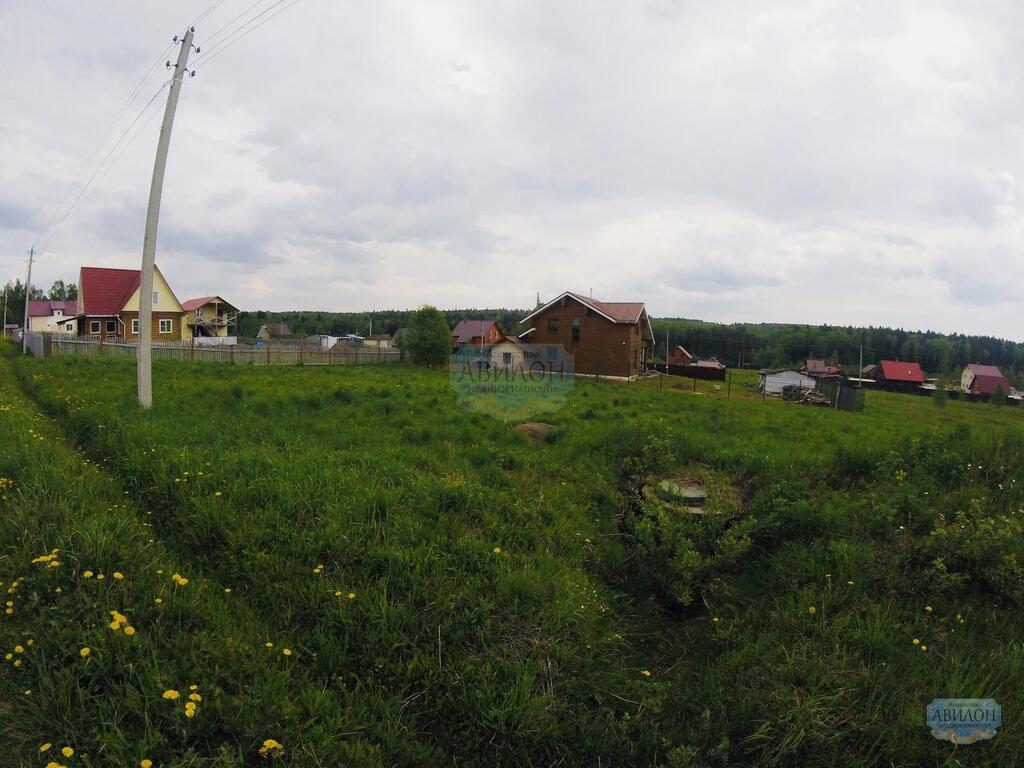 Рыгино. Снт рысь. Деревня рыгино солнечногорский. Солнечногорск рыгино 26 на сегодня. Деревня рыгино.