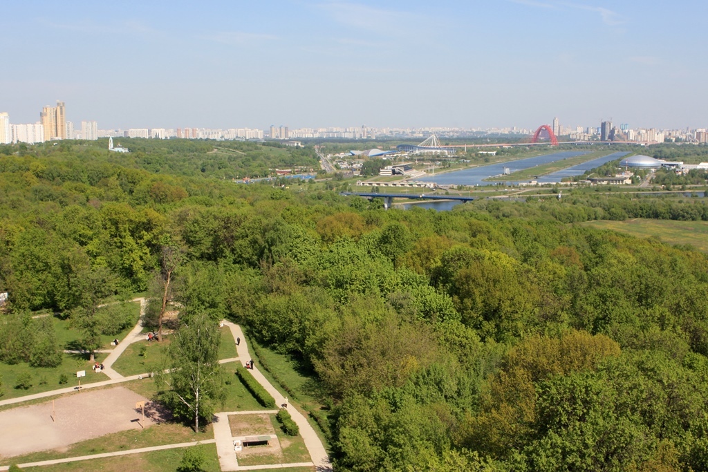 Суворовский парк кунцево фото