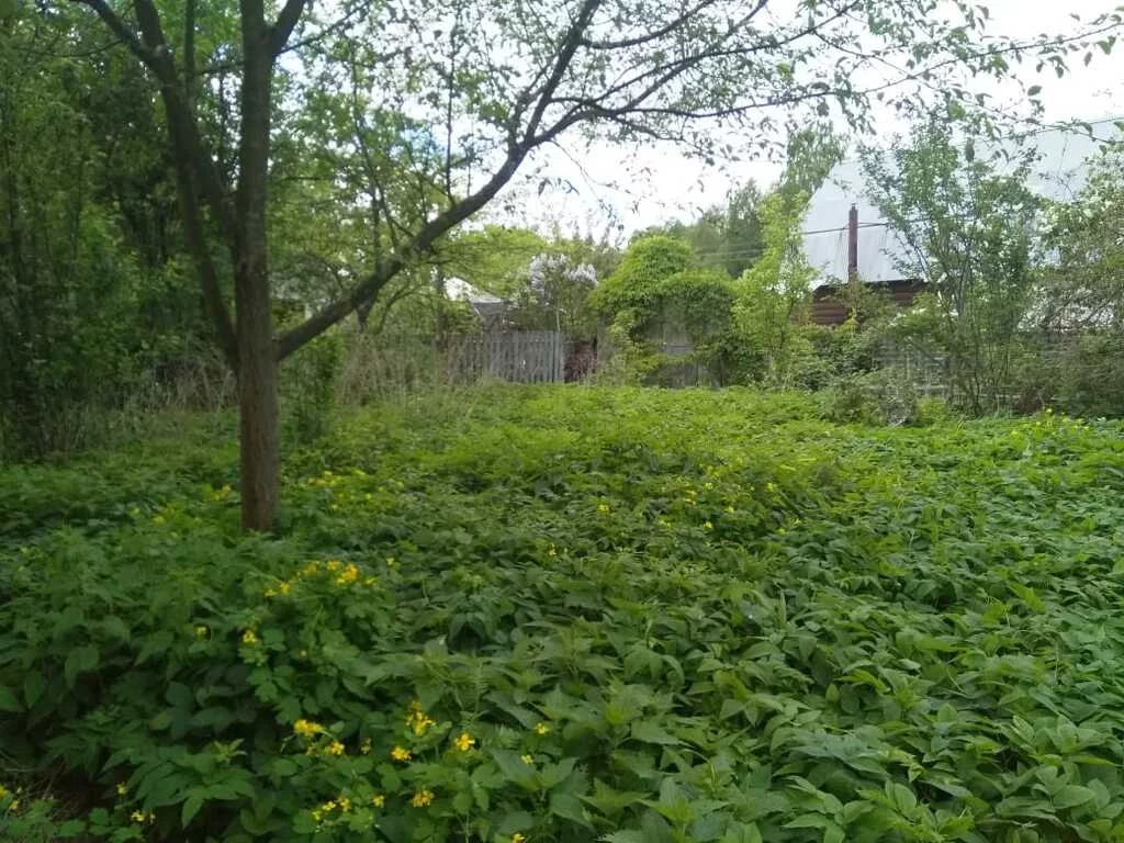 Снт раменский районе. СНТ Весна 1 Раменский район. СНТ Весна Раменское. СНТ Весна Раменский район.