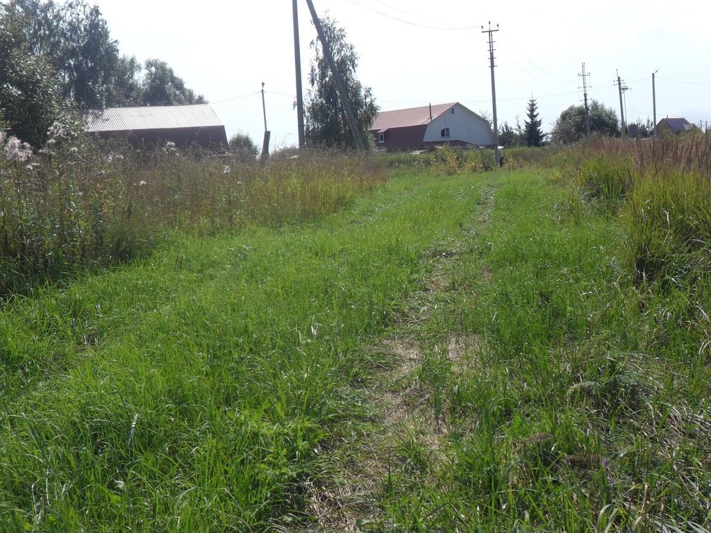 Деревня платунино московская область. Новоникольское Талдомский район. Новоникольское Талдомский район озеро. Великий двор Талдомский район. Новоникольское (Талдомский городской округ).