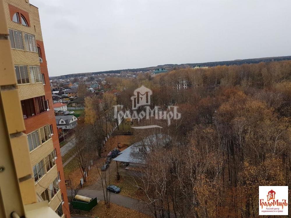 Дмитров ул подлипецкая слобода
