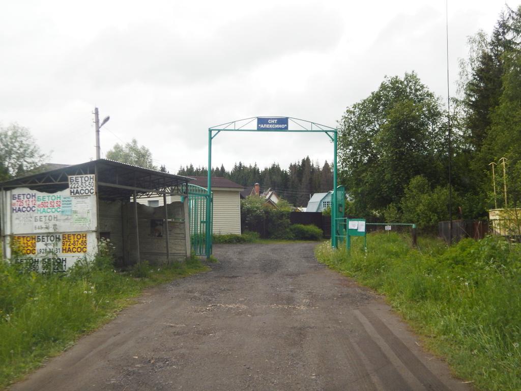 Погода в алексино рузский московская. Алексино СНТ. СНТ Алексино музыка.