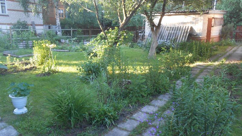 Купить Дачу В Дуброво Ногинск 9